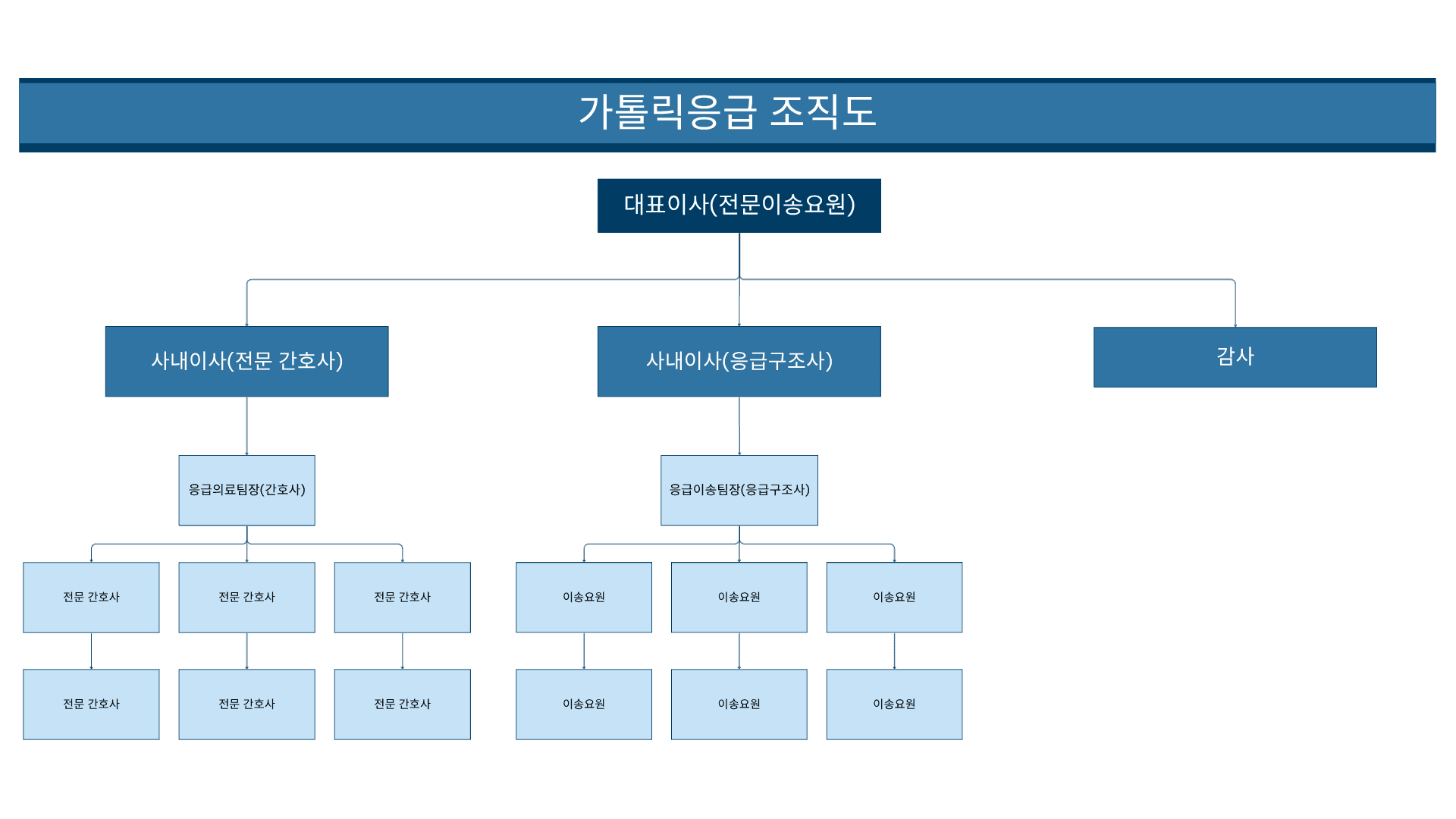 가톨릭응급 조직도